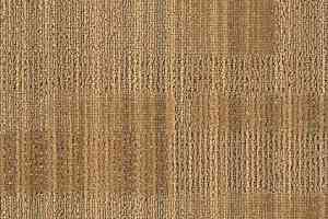 Ковровая плитка Forbo Tessera Alignment 220 Essence фото  | FLOORDEALER